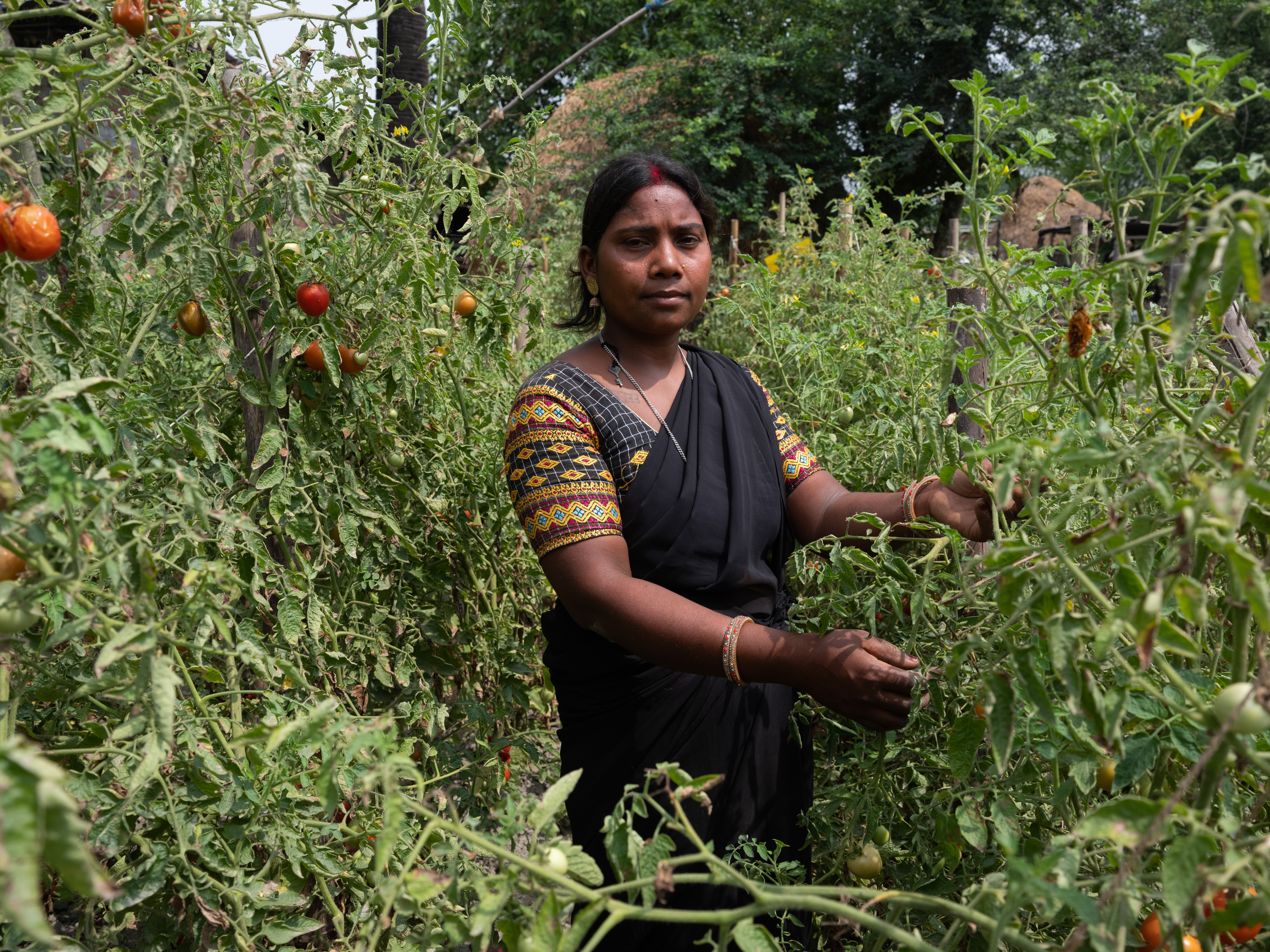 Sangita Soren (30) stands with her crops at her farm in Jahada Rural Municipality-5, Morang, Nepal. She got seasonal and off seasonal vegetable farming training from SAHAS.